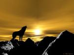 Le loup